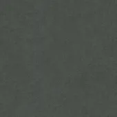 Grey Moss