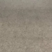 Vegha