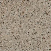 Beige Daphne