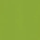 Verde Fun
